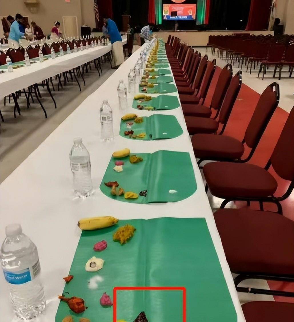 乒乓球亚锦赛变荒野求生比赛场地惊现青蛙？现场环境令人担忧