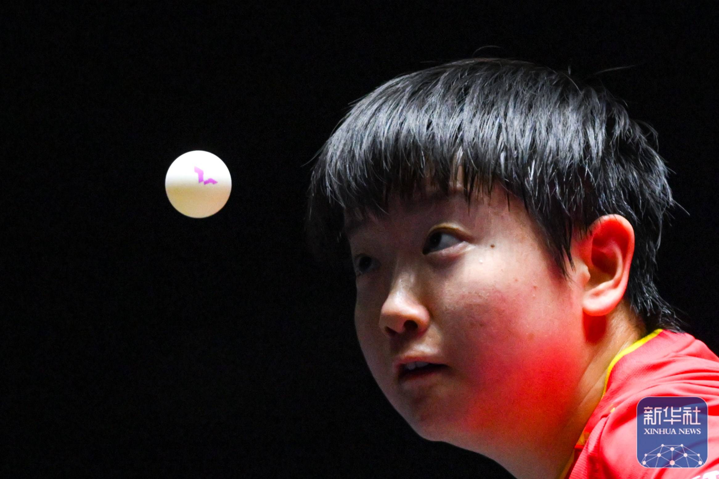 WTT澳门冠军赛｜孙颖莎夺得女单冠军