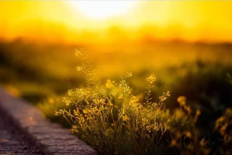 电竞比赛吸引全球年轻观众