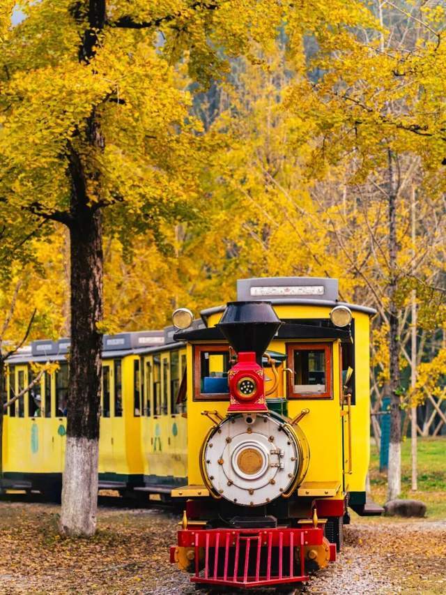 “新城环保杯”2025年浙江省第十四届乒乓球等级积分联赛(长兴站)暨第二届长三角乒乓球等级积分赛落幕